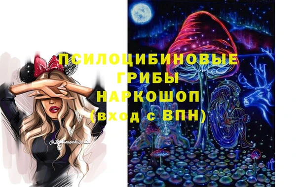 сатива Арсеньев