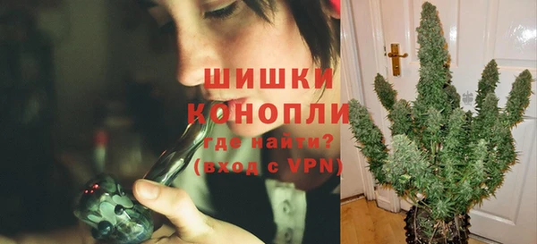твердый Аркадак